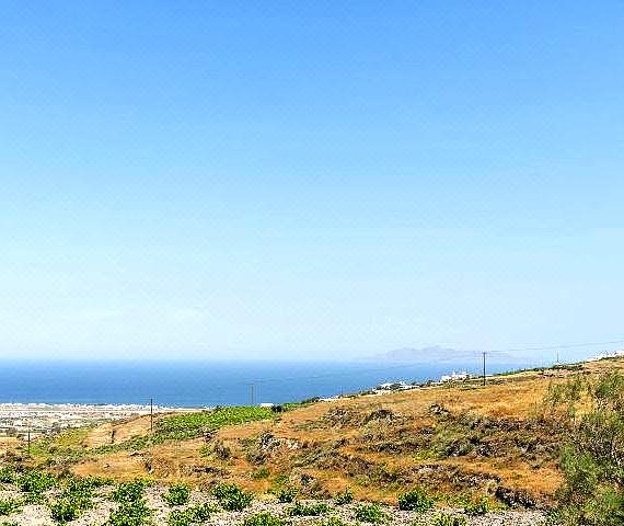 Ampelos Executive Houses